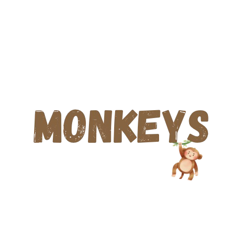 monkeys